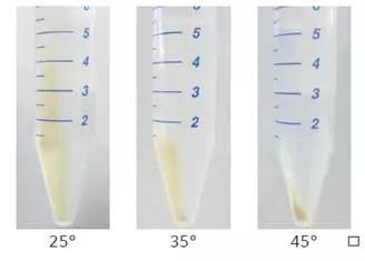 1609139181535009.jpg 55.jpg