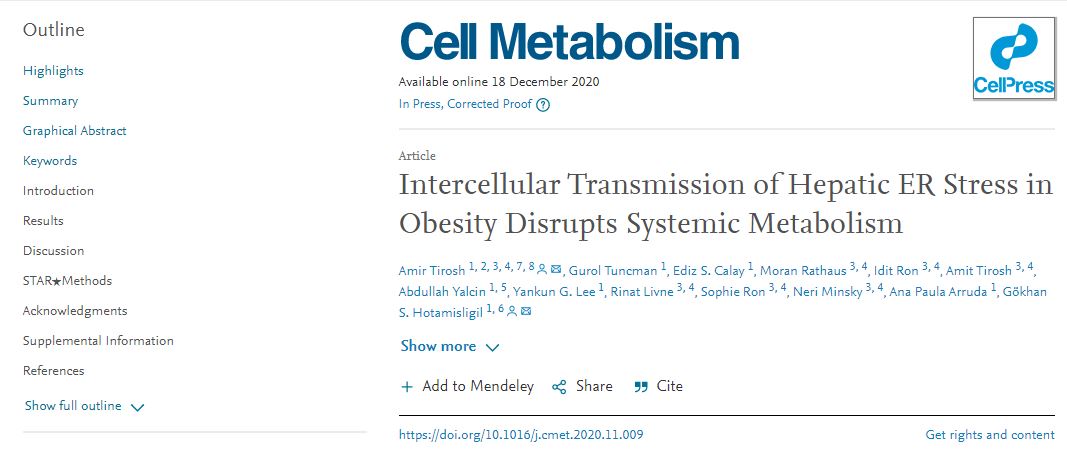 肥胖引起的人體代謝問題 肥胖引起的人體代謝問題