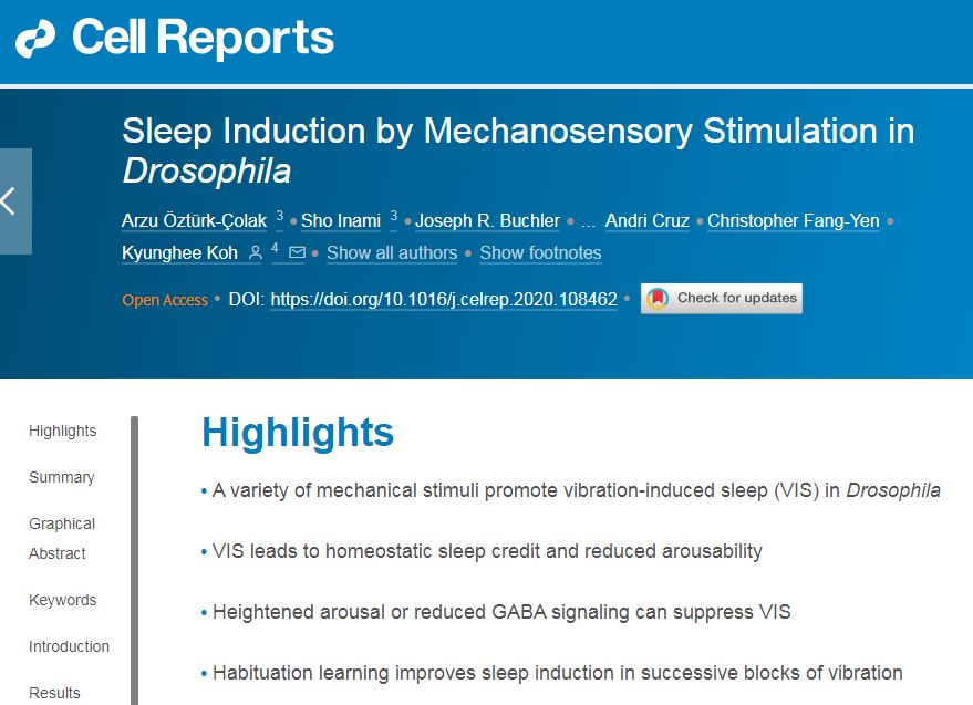 關(guān)于機(jī)械性刺激對果蠅的睡眠誘導(dǎo)研究 關(guān)于機(jī)械性刺激對果蠅的睡眠誘導(dǎo)研究