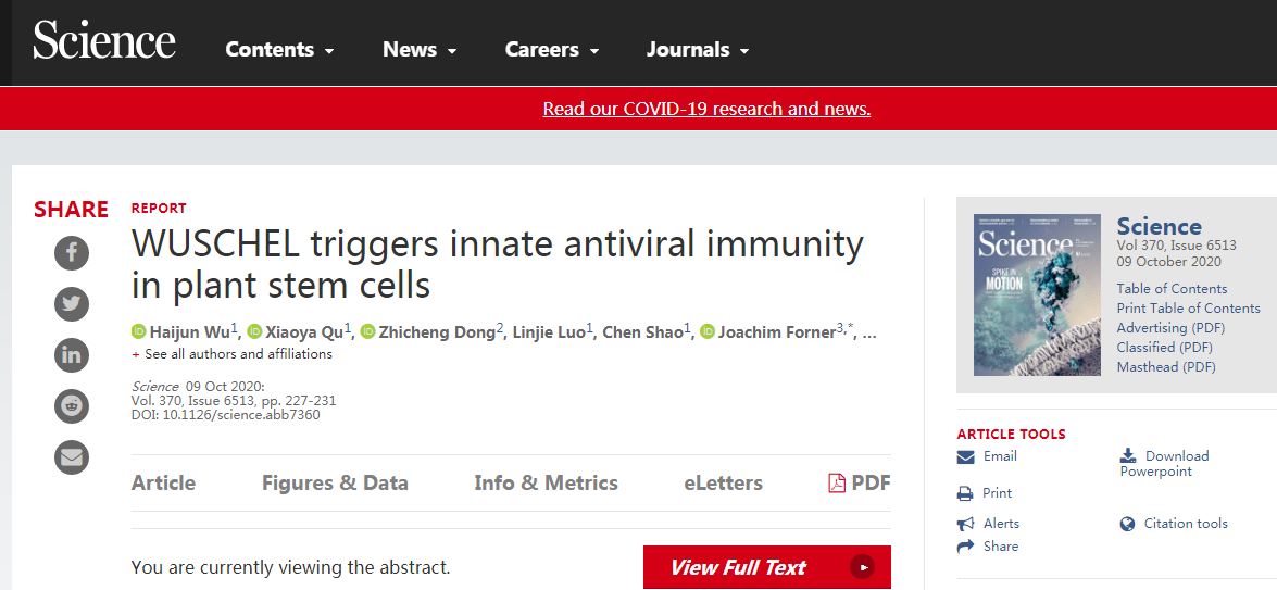 植物干細(xì)胞的先天抗病毒免疫 植物干細(xì)胞的先天抗病毒免疫