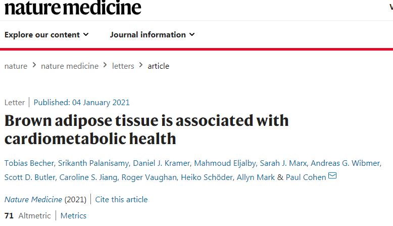 棕色脂肪(BAT)與2型糖尿病、血脂異常、冠狀動脈疾病、腦血管疾病、充血性心力衰竭和高血壓等方面的潛在作用