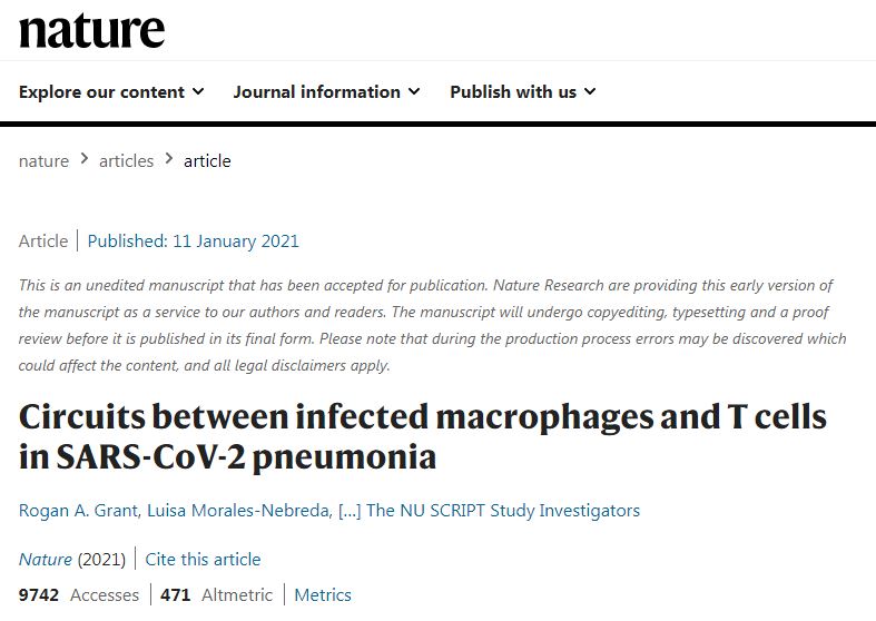 Circuits between infected macrophages and T cells in SARS-CoV-2 pneumonia Circuits between infected macrophages and T cells in SARS-CoV-2 pneumonia