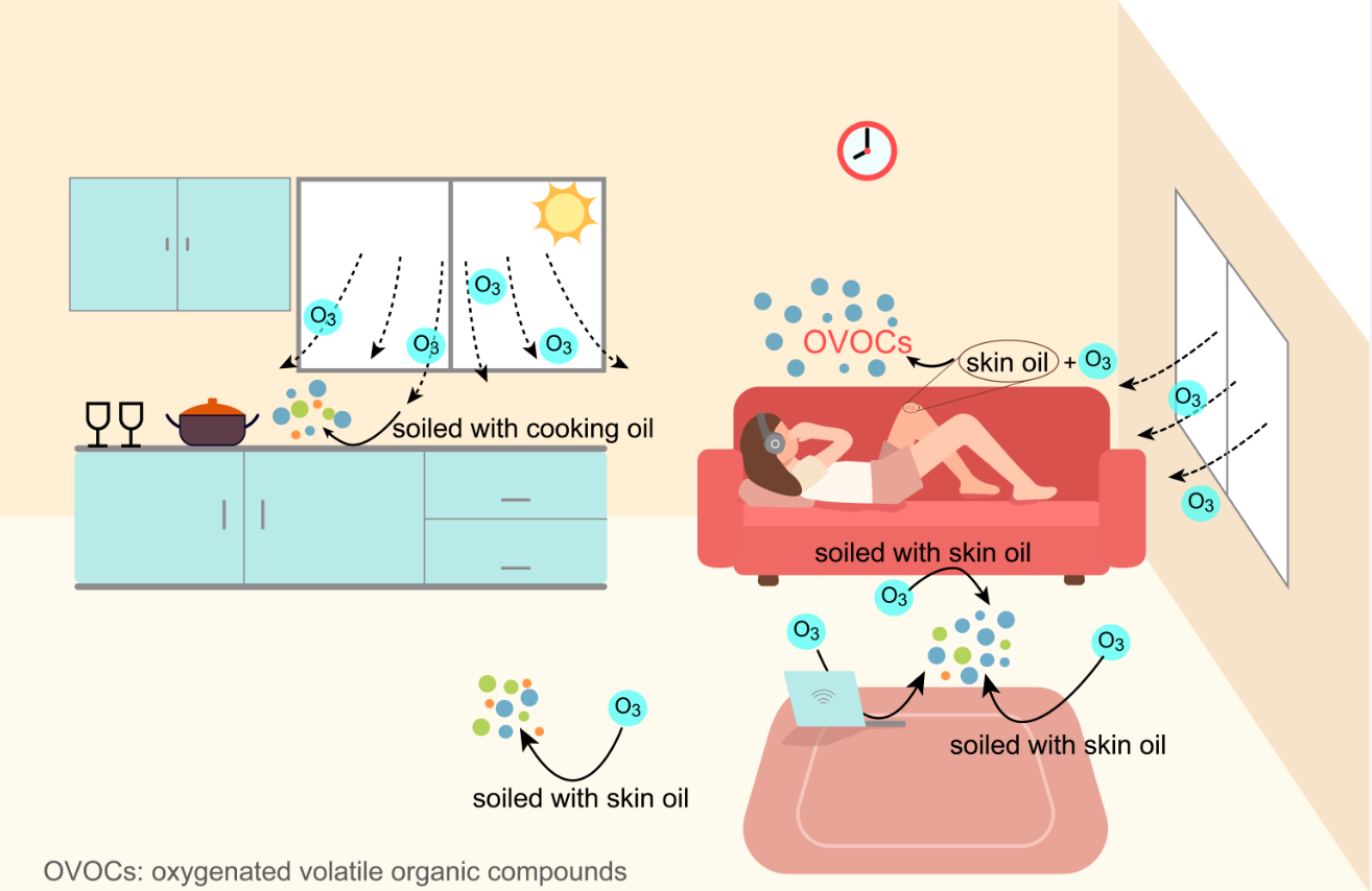 臭氧與皮脂皮屑發(fā)生反應(yīng) 臭氧與皮脂皮屑發(fā)生反應(yīng)