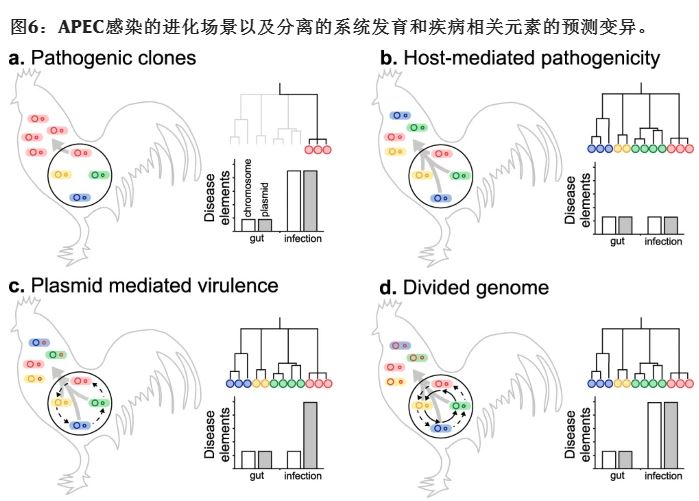 無害的腸道細(xì)菌如何“變質(zhì)” 無害的腸道細(xì)菌如何“變質(zhì)”