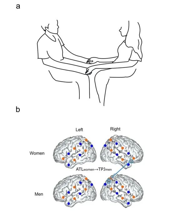 情侶吵架后多牽手，觸覺交流促進(jìn)親密關(guān)系