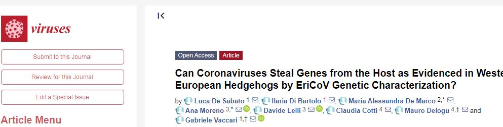 某些冠狀病毒竊取宿主基因以逃避其免疫系統(tǒng) 某些冠狀病毒竊取宿主基因以逃避其免疫系統(tǒng)