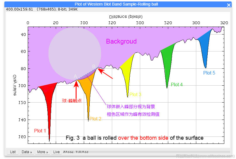 ImageJ圖像分析軟件Rolling ball扣除背景算法原理圖.jpg
