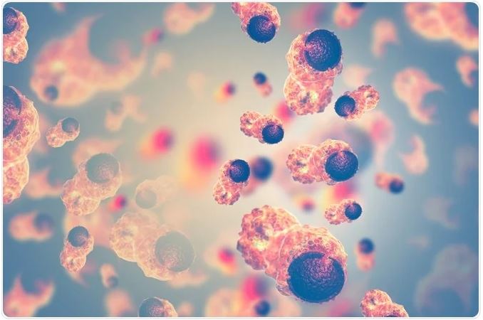 1615905027911791.jpg 捕獲.JPG