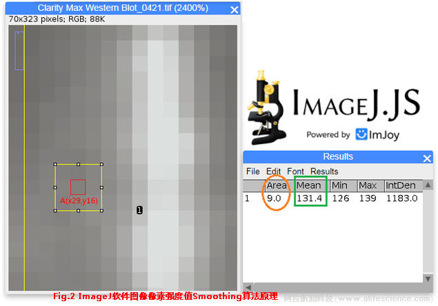 Fig 2 ImageJ軟件圖像像素強(qiáng)度值Smoothing算法原理.jpg