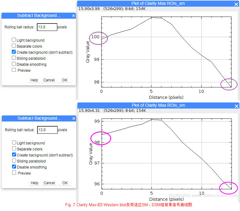 Fig 7 Clarity Max-B3 Western blot條帶選區(qū)SM、DSM組背景信號曲線圖.jpg