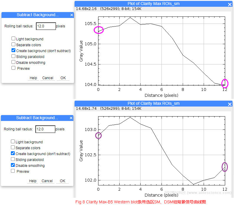 Fig 8 Clarity Max-B5 Western blot條帶選區(qū)SM、DSM組背景信號曲線圖.jpg