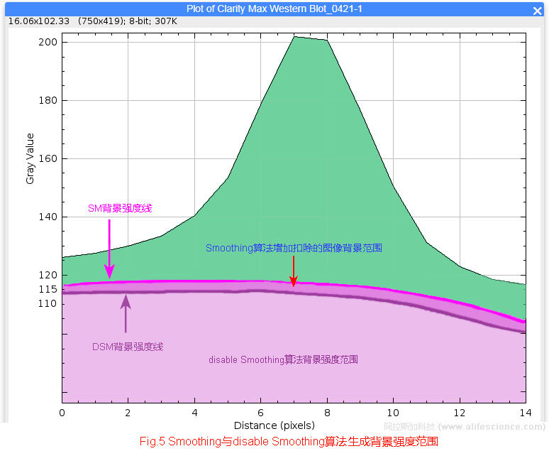 Fig 5 ImageJ軟件Smoothing與disable Smoothing算法背景強(qiáng)度范圍 .jpg
