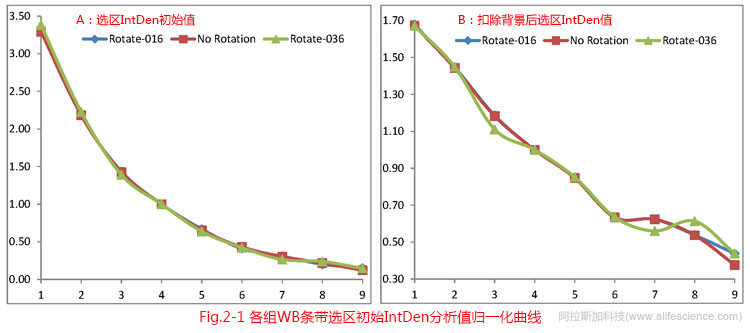 Fig 2-1 各組WB條帶選區(qū)初始IntDen分析值歸一化曲線.jpg