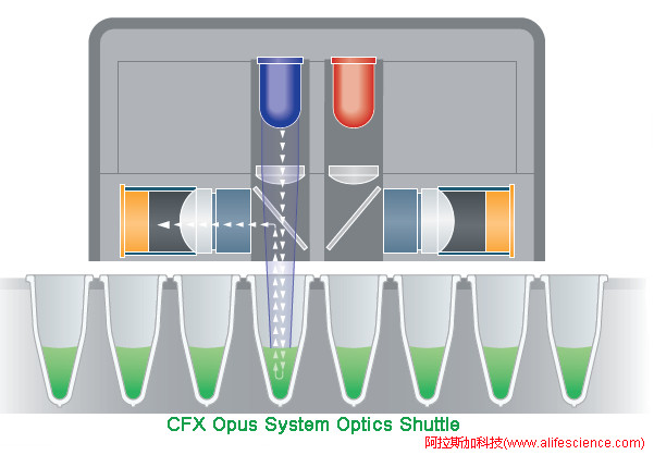 CFX Opus 96 384 實(shí)時(shí)熒光定量PCR儀熒光信號(hào)檢測(cè)單元工作原理.jpg CFX Opus 96 384 實(shí)時(shí)熒光定量PCR儀熒光信號(hào)檢測(cè)單元工作原理.jpg