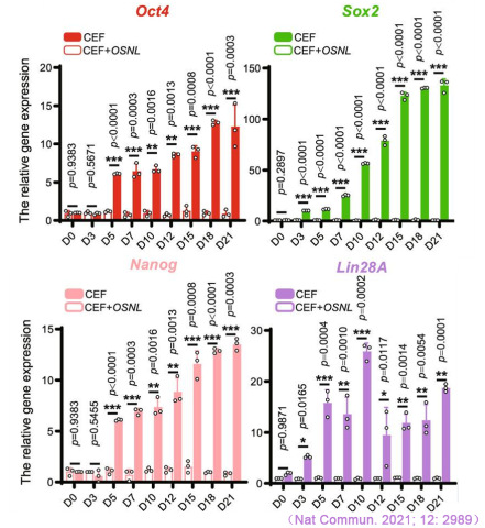 CFX Connect實時熒光定量PCR儀對iPS多能性標(biāo)記基因Oct4、Sox2、Nanog和Lin28A表達的檢測.jpg