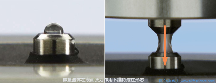 NanoDrop OneC微量紫外可見光度計工作原理.jpg NanoDrop OneC微量紫外可見光度計工作原理.jpg