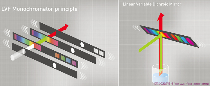 VantaStar多功能熒光酶標儀LVF光柵工作原理.jpg VantaStar多功能熒光酶標儀LVF光柵工作原理.jpg
