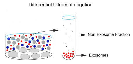 Optima MAX-XP臺(tái)式超速離心機(jī)外泌體分離原理.jpg Optima MAX-XP臺(tái)式超速離心機(jī)外泌體分離原理.jpg