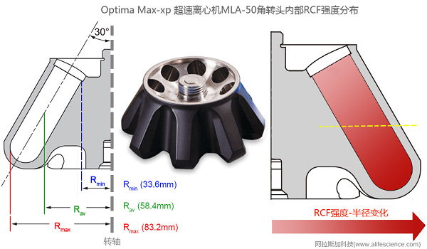 Optima Max-xp超速離心機(jī)MLA-50角轉(zhuǎn)頭內(nèi)部RCF分布示意圖.jpg Optima Max-xp超速離心機(jī)MLA-50角轉(zhuǎn)頭內(nèi)部RCF分布示意圖.jpg