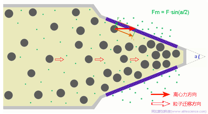 超濾離心管在水平轉(zhuǎn)頭中的工作原理圖.jpg 超濾離心管在水平轉(zhuǎn)頭中的工作原理圖.jpg