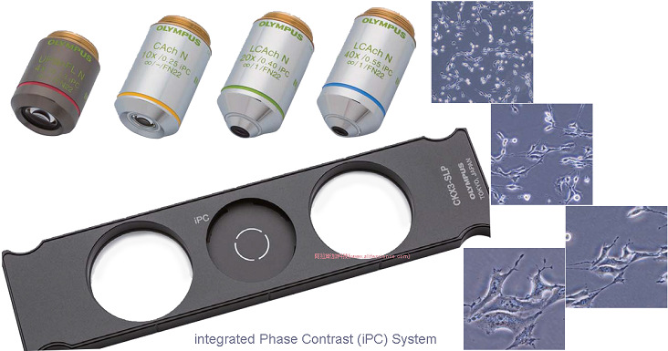 Olympus CKX53倒置熒光相差顯微鏡集成相襯iPC系統(tǒng).jpg Olympus CKX53倒置熒光相差顯微鏡集成相襯iPC系統(tǒng).jpg