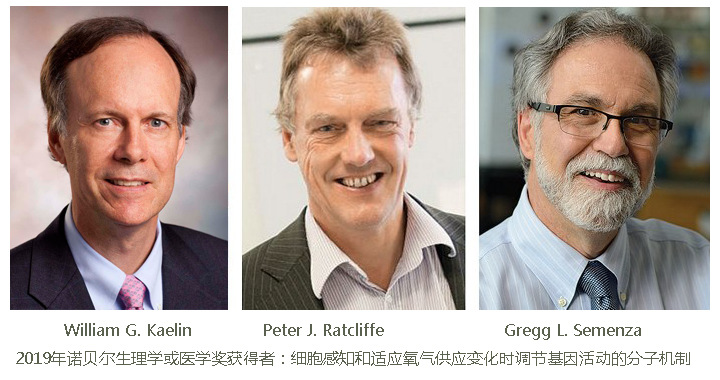 三位獲得2019年諾獎(jiǎng)的大爺.jpg 三位獲得2019年諾獎(jiǎng)的大爺.jpg